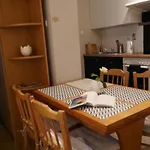 Paderewski Διαμέρισμα Πόζναν