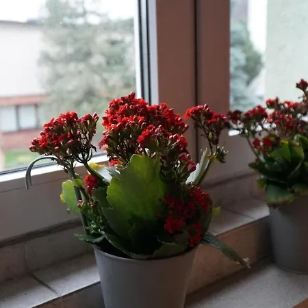 Apartamento Paderewski